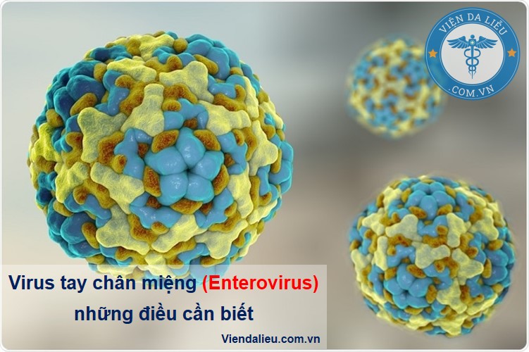 Virus tay chân miệng (Enterovirus): Những điều cần biết 1