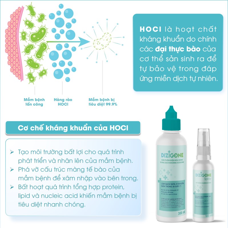 dizigone công nghệ